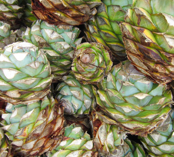 ラ・メディダ、ビクイシェ、トバラ、エスパディンのボトル