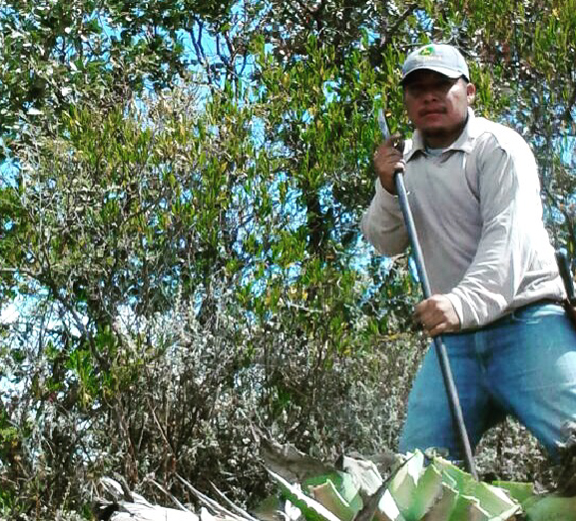 エスパディンのピニャ