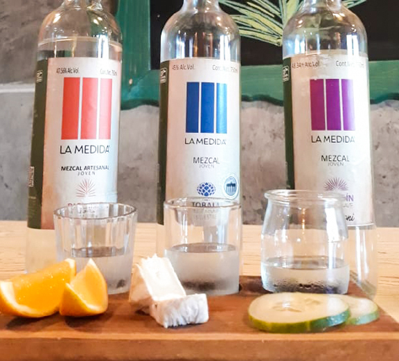 アガベを刈り取る姿